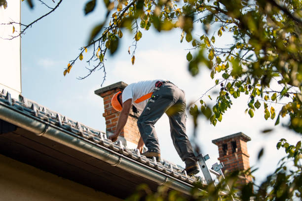 Professional Roofing Contractor in North Lima, OH