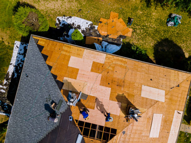 Best Roof Restoration Services  in North Lima, OH