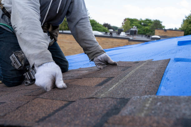 Best Roof Waterproofing Services  in North Lima, OH