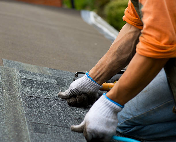 Best Roof Gutter Cleaning  in North Lima, OH