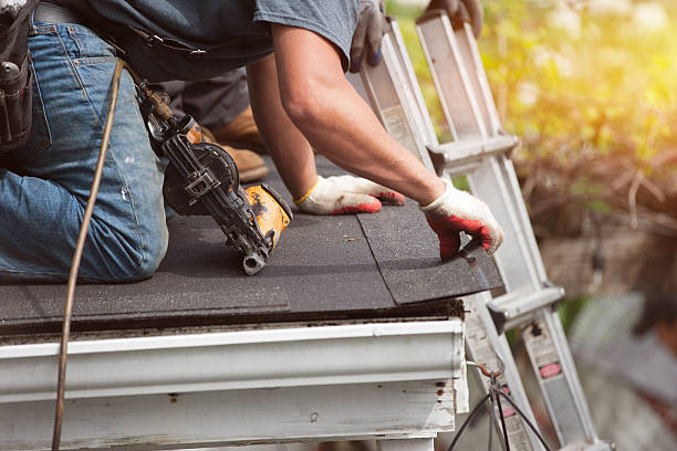 Best Gutter Installation and Roofing  in North Lima, OH