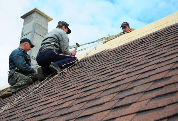 Best Metal Roofing Contractor  in North Lima, OH